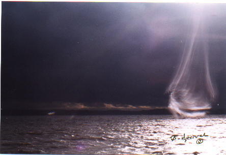 GhostShip.jpg (17831 bytes)